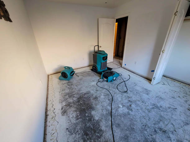 Best Emergency water extraction  in Cortez, FL