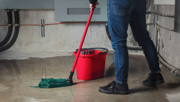 Best 24/7 water damage repair  in Cortez, FL
