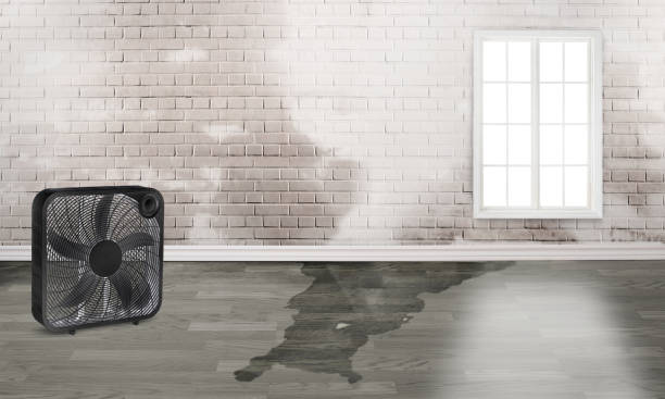 Cortez, FL Water damage restoration Pros