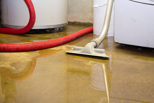 Best Water damage restoration near me  in Cortez, FL