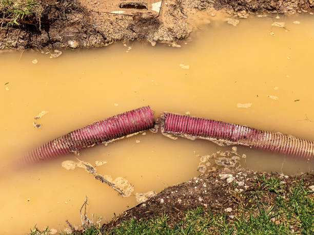 Best Water damage restoration near me  in Cortez, FL