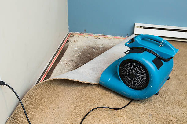 Reliable FL Water damage restoration Solutions